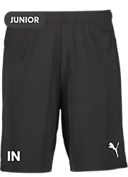 392286103101 PUMA T Goal Shorts Jr 392286103101 PUMA T Goal Shorts Jr Standard Small1x1