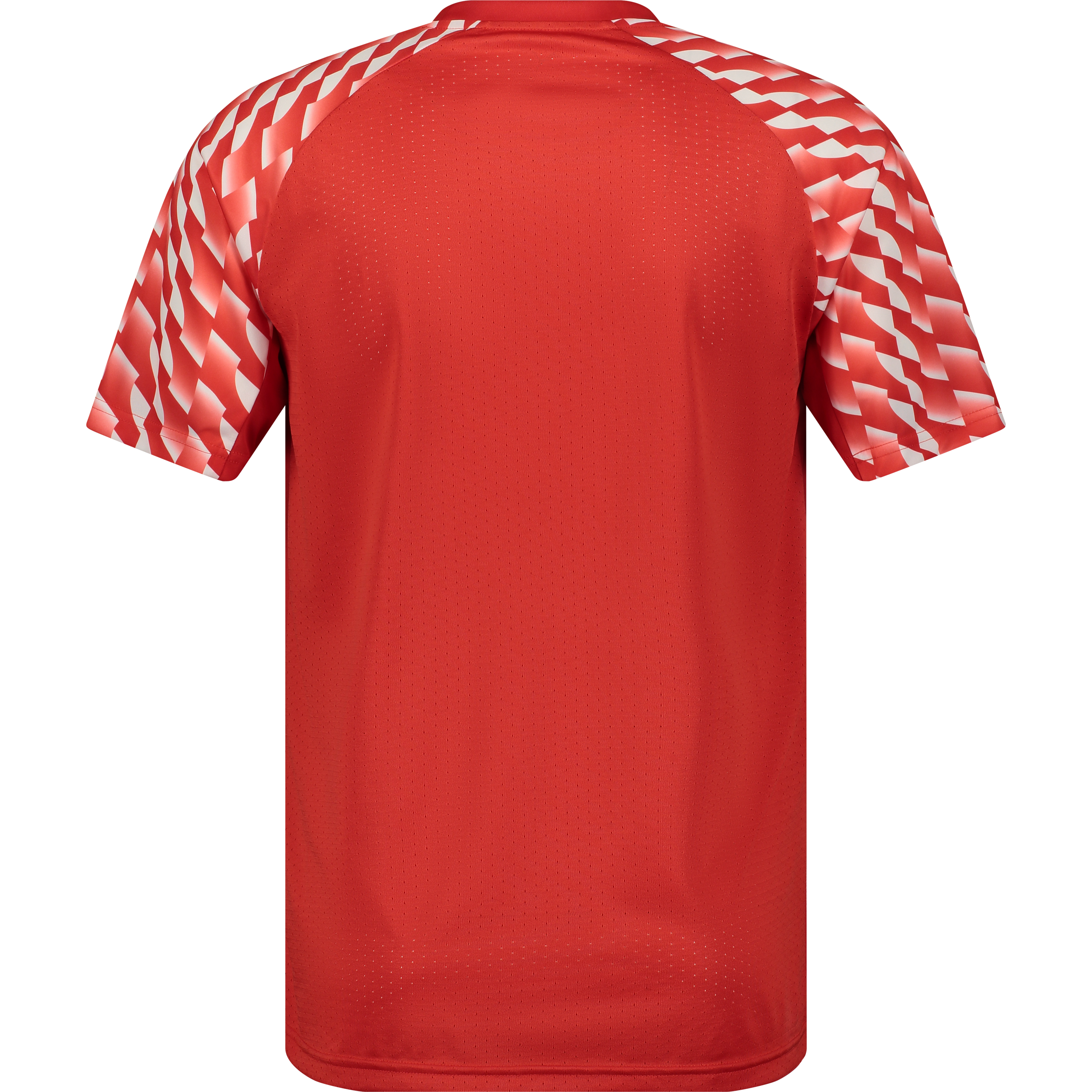 PUMA, TEAMLIGA26 JERSEY