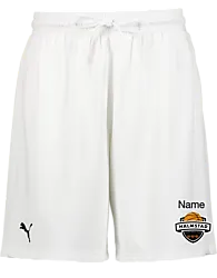 387570102101 PUMA Hoops Team Practice Short 387570102101 PUMA Hoops Team Practice Short Standard Small1x1