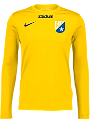 311152110101 NIKE Park VII LS Jsy 311152110101 NIKE Park VII LS Jsy Standard Small1x1
