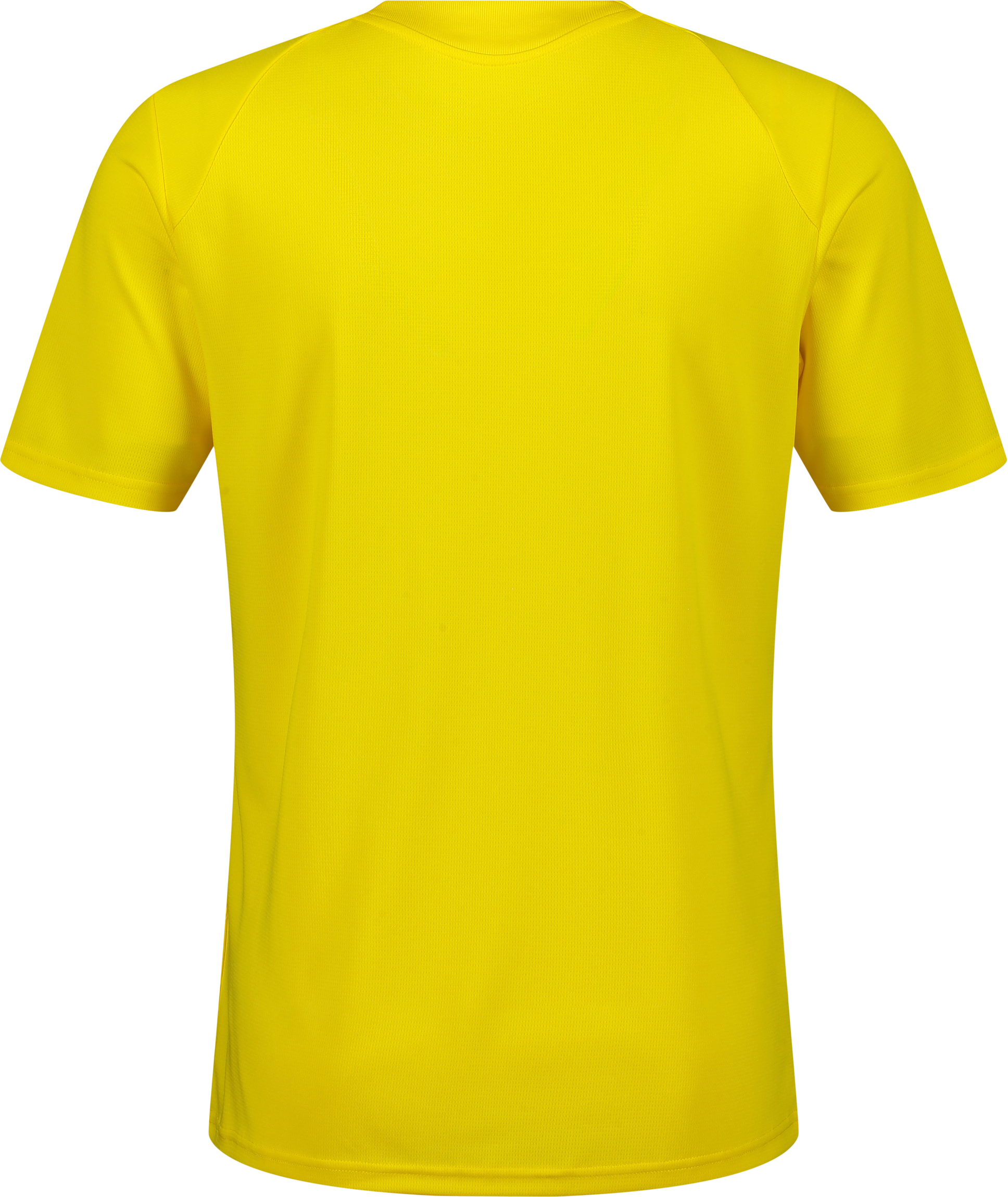 PUMA, TEAMFINAL26 TRAINING JERSEY