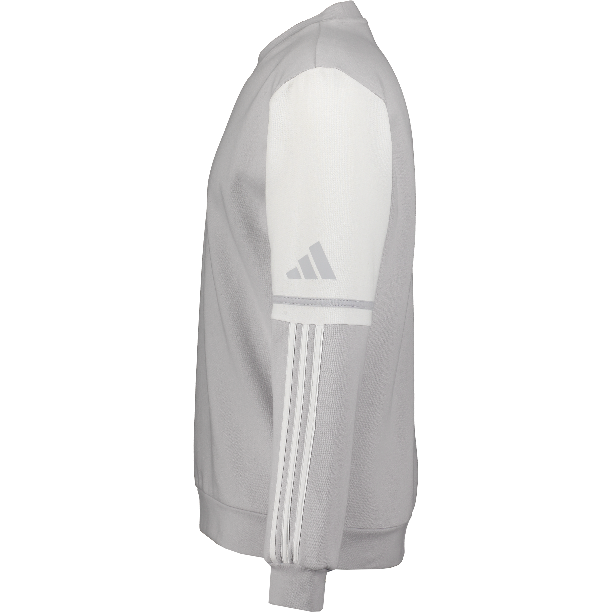 ADIDAS, Squad25 Sw Crew