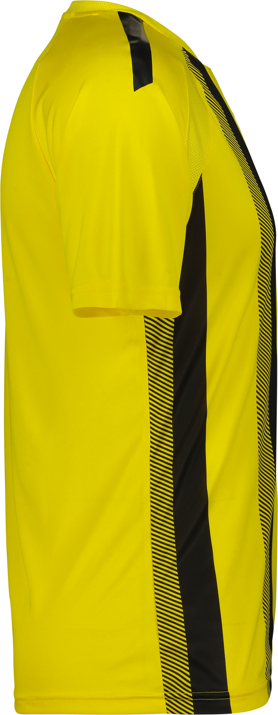 PUMA, T Liga Striped Jsy