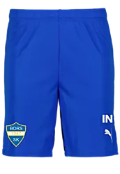 391942102101 PUMA T Goal Shorts 391942102101 PUMA T Goal Shorts Standard Small1x1
