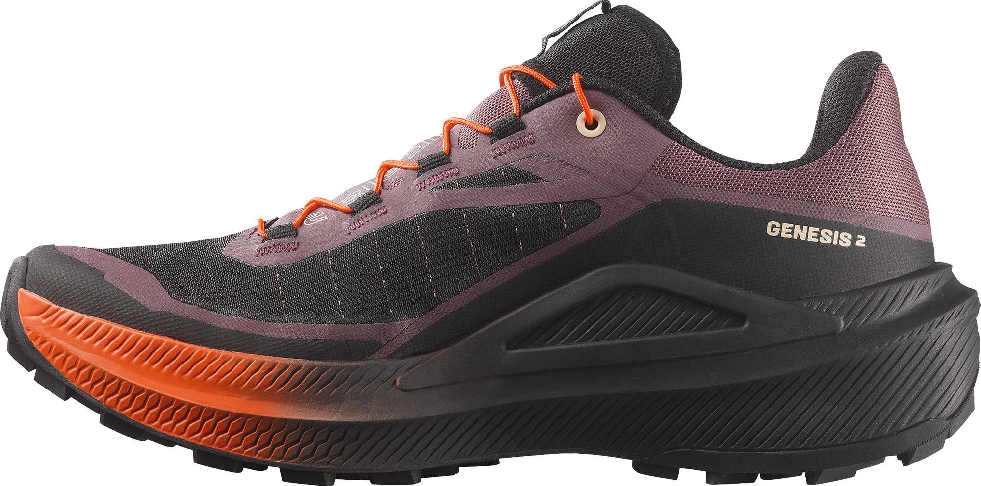 SALOMON, W GENESIS 2