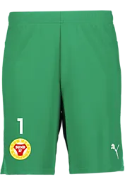 391942105101 PUMA T Goal Shorts 391942105101 PUMA T Goal Shorts Standard Small1x1