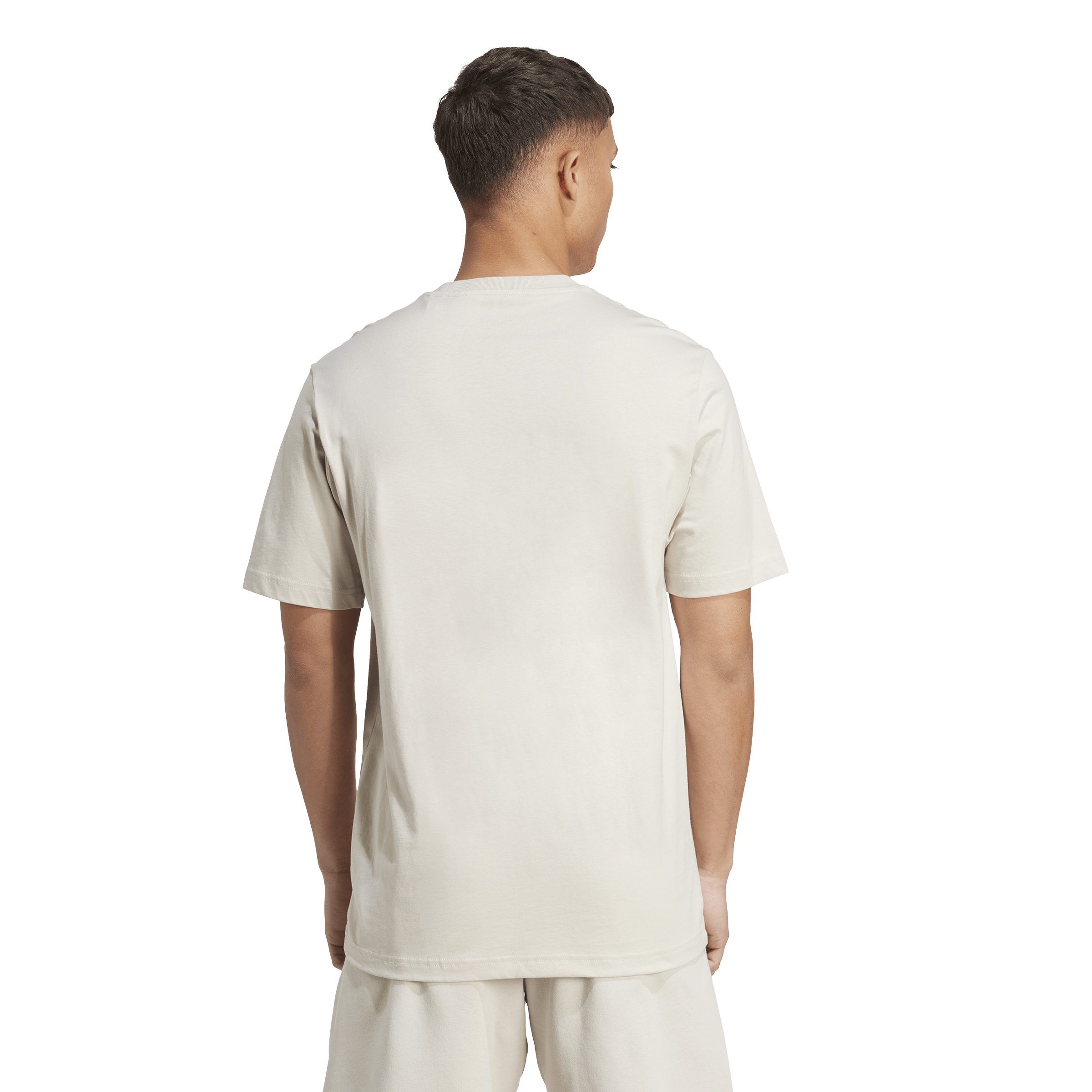 ADIDAS, M Collegiate T