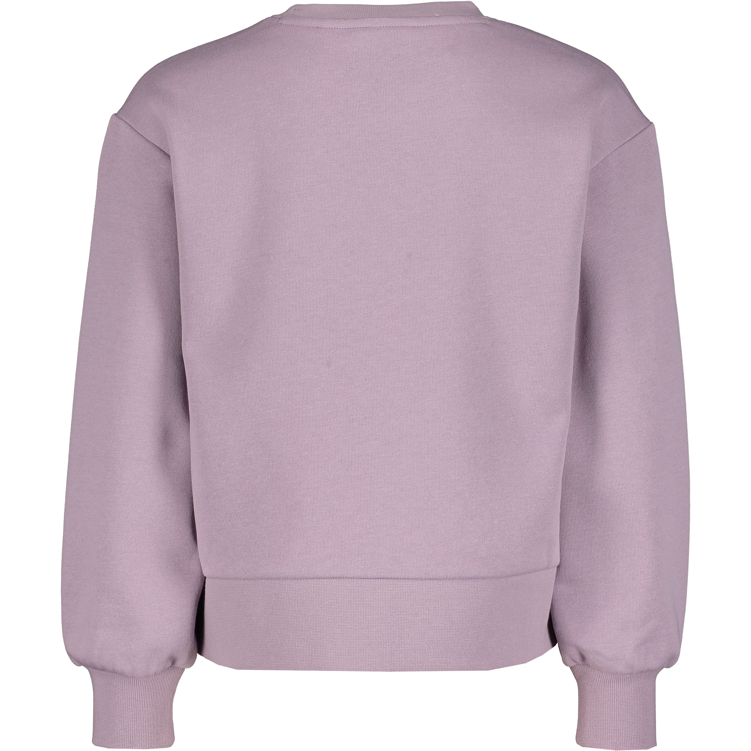 CHAMPION, Crewneck Sweatshirt G Jr