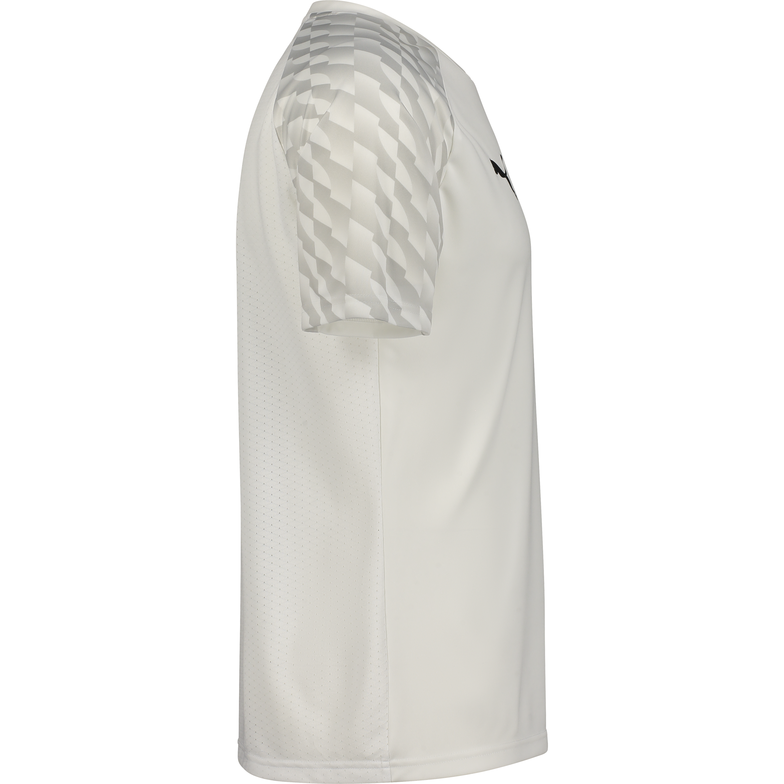 PUMA, TEAMLIGA26 JERSEY