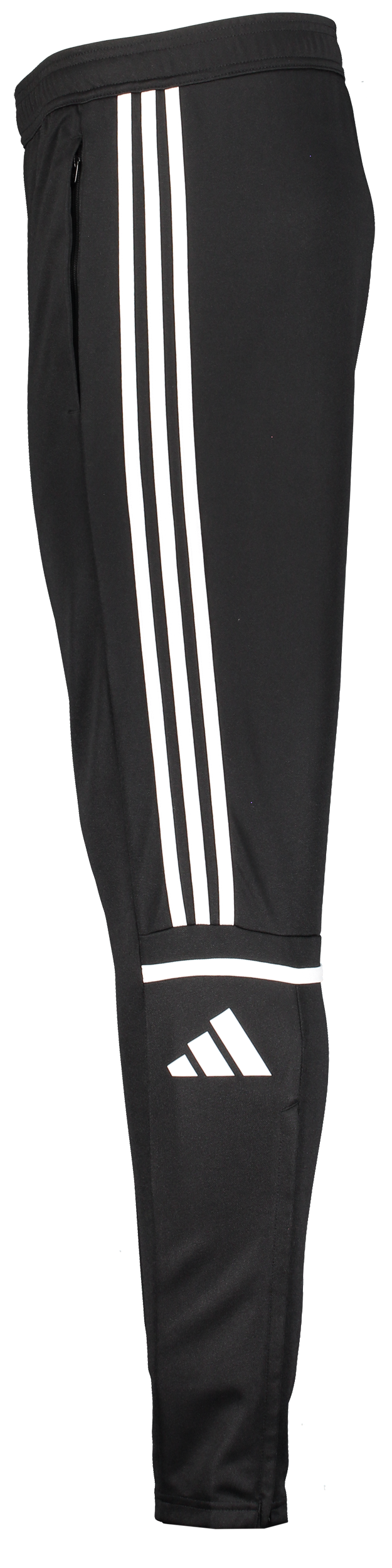 ADIDAS, Squad25 Tr Pnt Jr