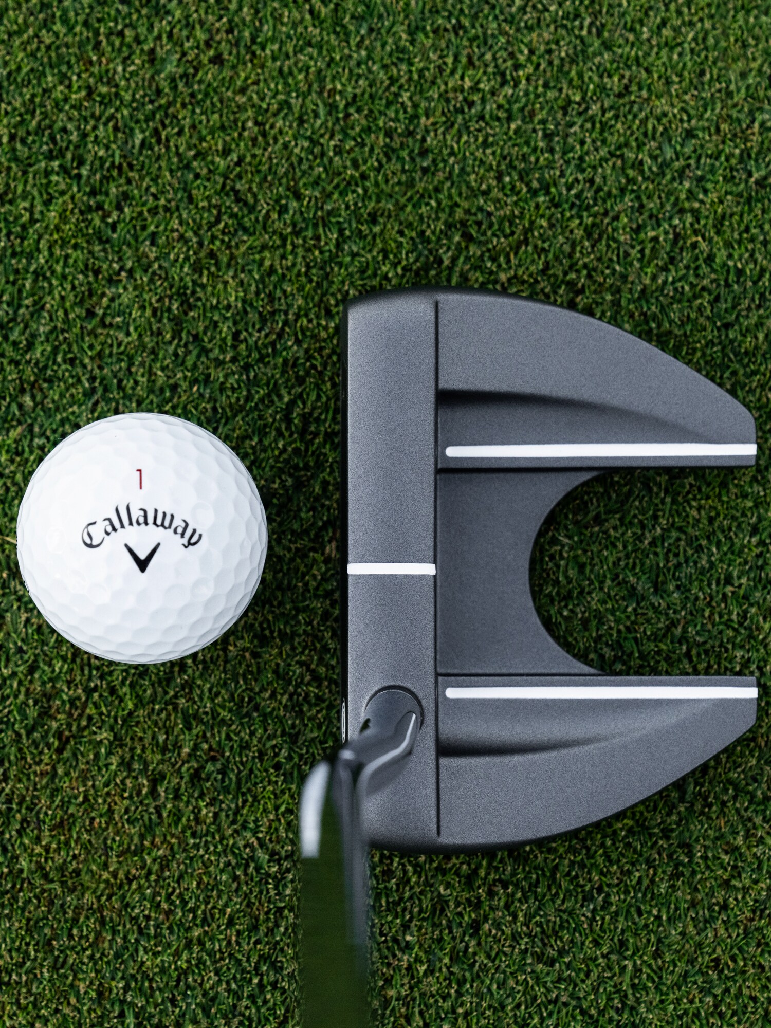 
ODYSSEY, 
Dfx 25 Vline Fang Pstl Rh, 
Detail 1
