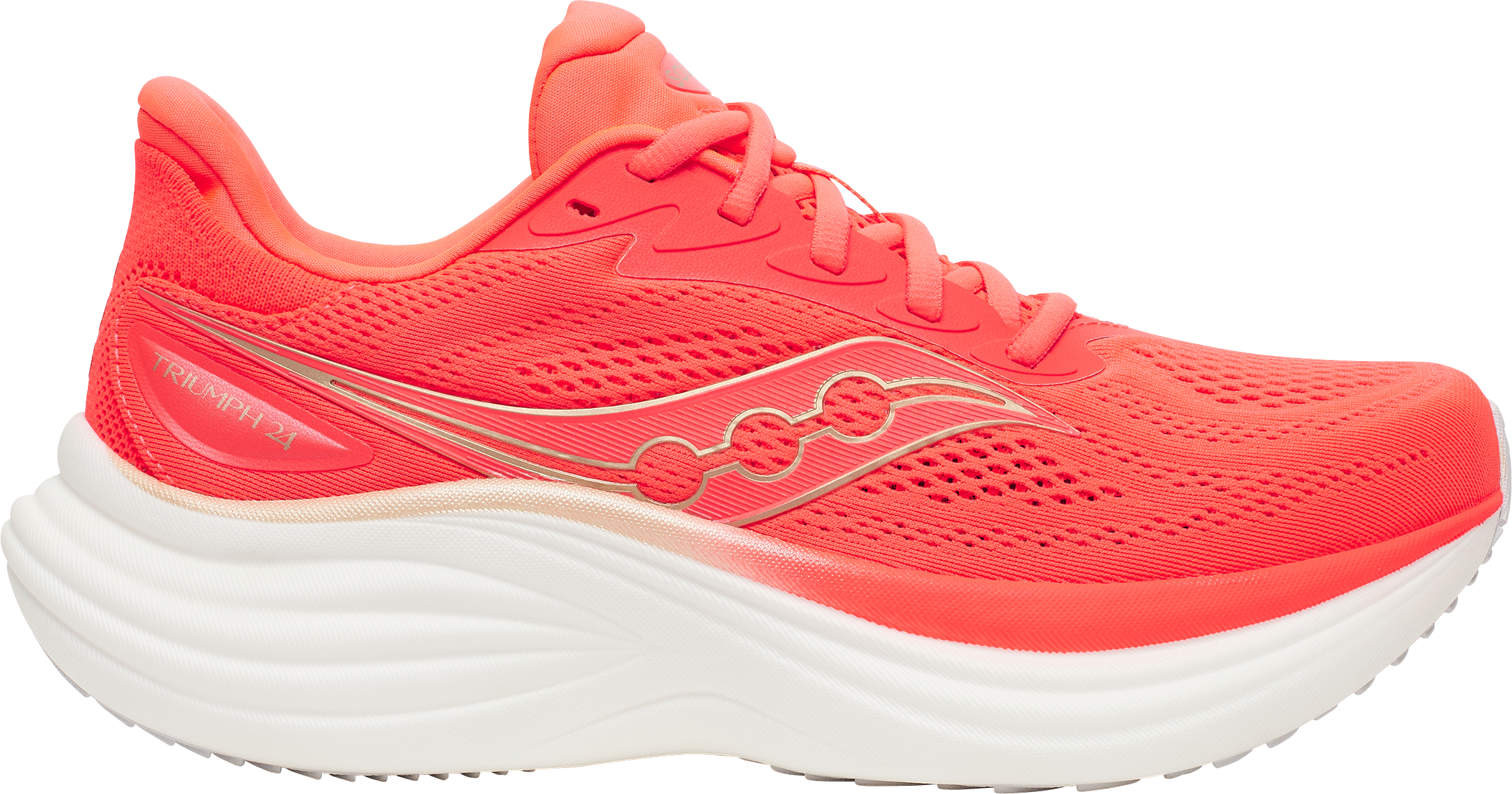 
SAUCONY, 
W TRIUMPH 24, 
Detail 1
