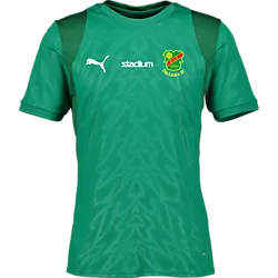 404664105101 PUMA Teamcup Jersey 404664105101 PUMA Teamcup Jersey Standard Small1x1