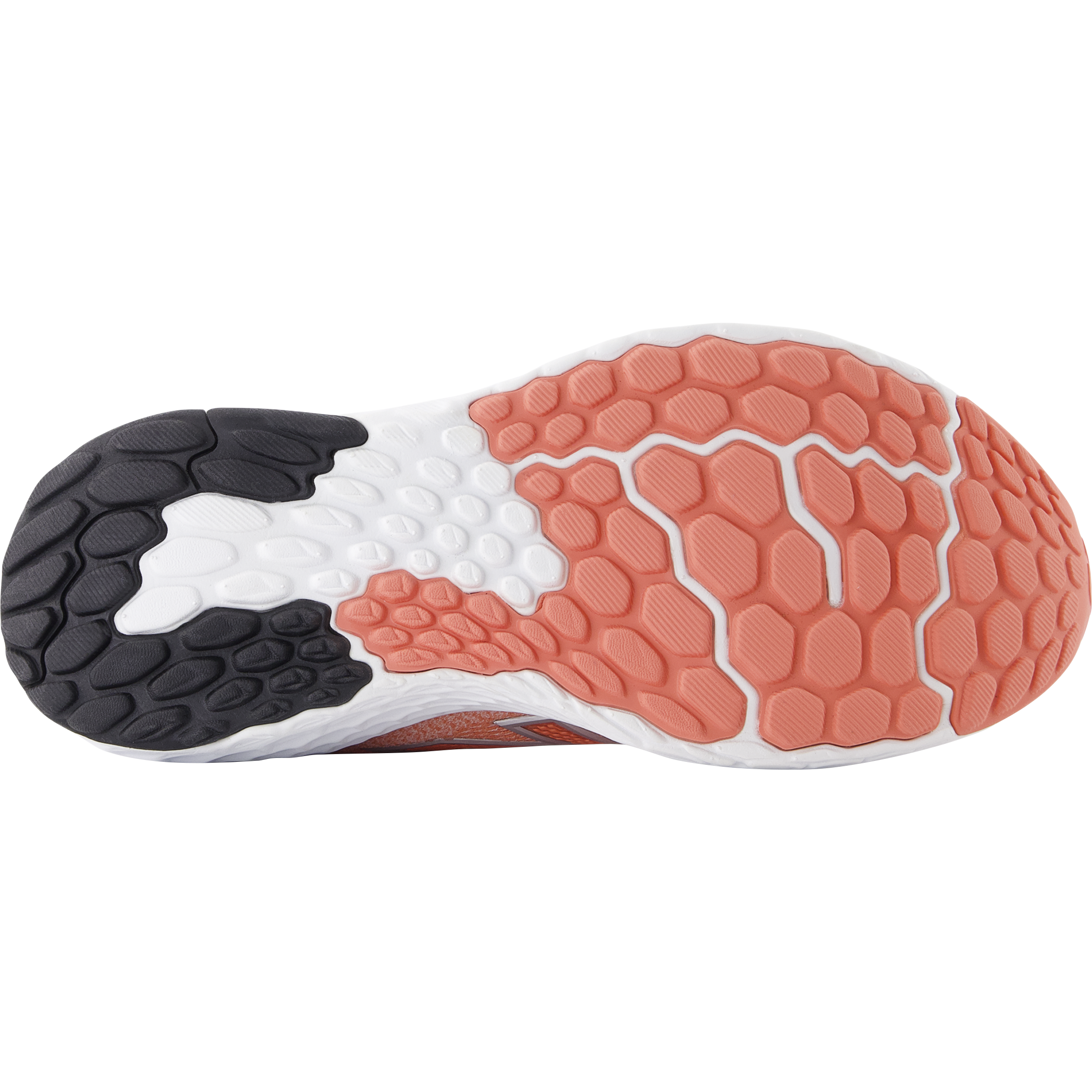 NEW BALANCE, W Fresh Foam X Evoz V4