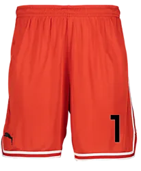 387202104101 PUMA Hoops Team Game Short 387202104101 PUMA Hoops Team Game Short Standard Small1x1