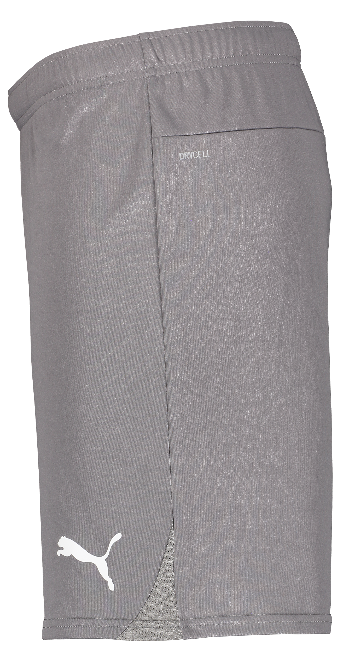 PUMA, T Goal Shorts Jr