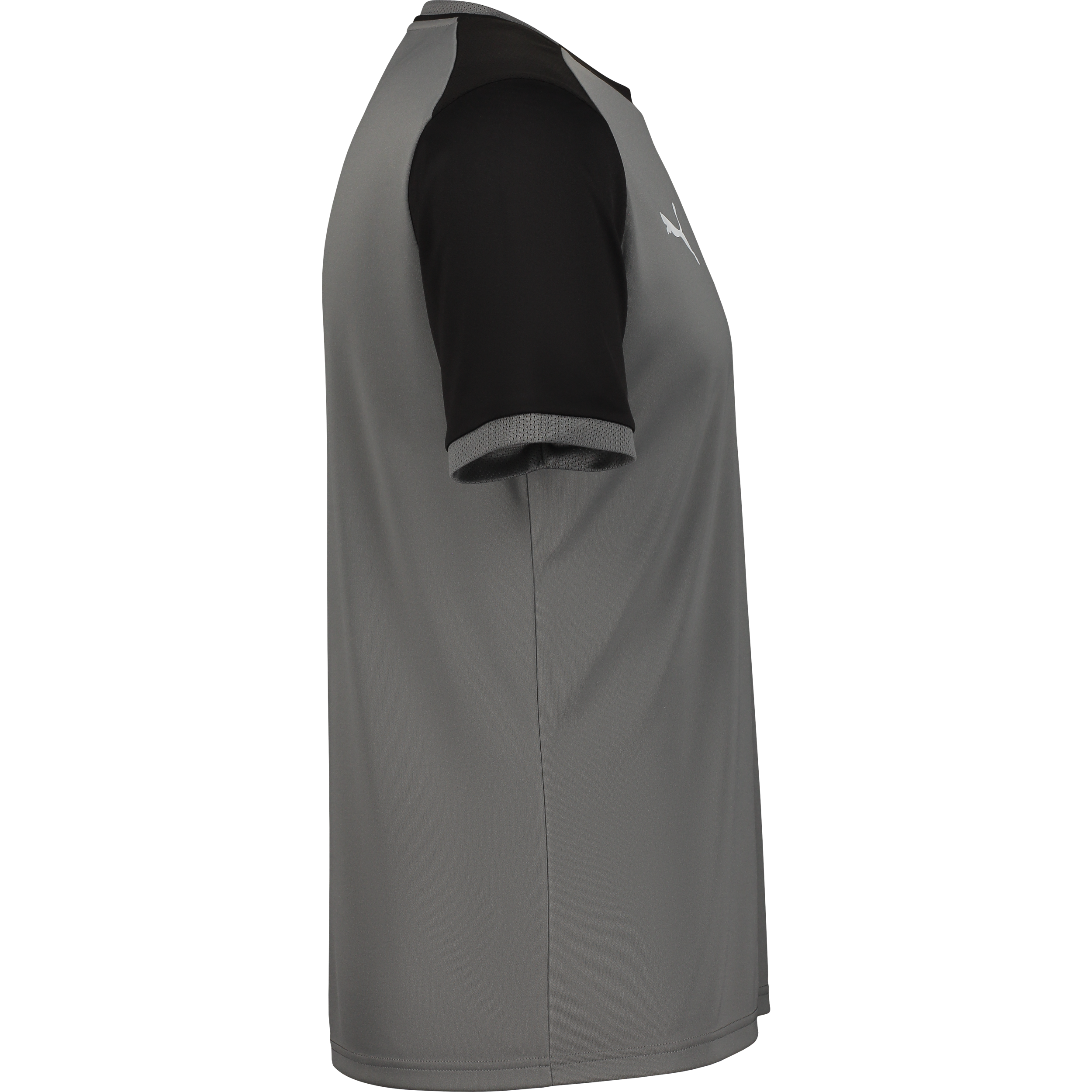 PUMA, TEAMLIGA26 MATCHDAY JERSEY