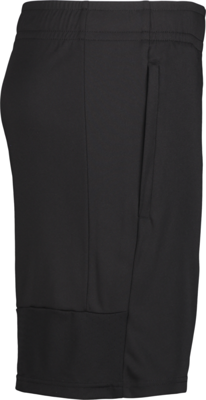 PUMA, TEAMLIGA TRAINING SHORTS