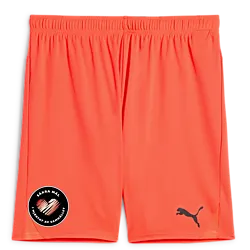 391942112101 PUMA T Goal Shorts 391942112101 PUMA T Goal Shorts Standard Small1x1