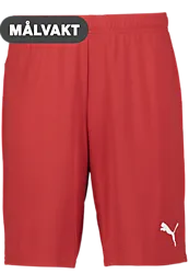 391942101101 PUMA T Goal Shorts 391942101101 PUMA T Goal Shorts Standard Small1x1