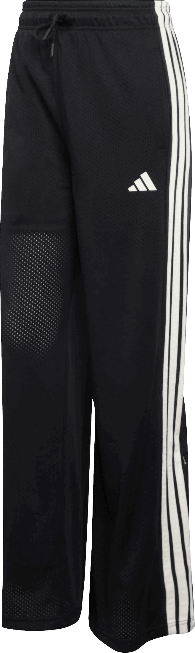 ADIDAS, W STA SEAS PNTT